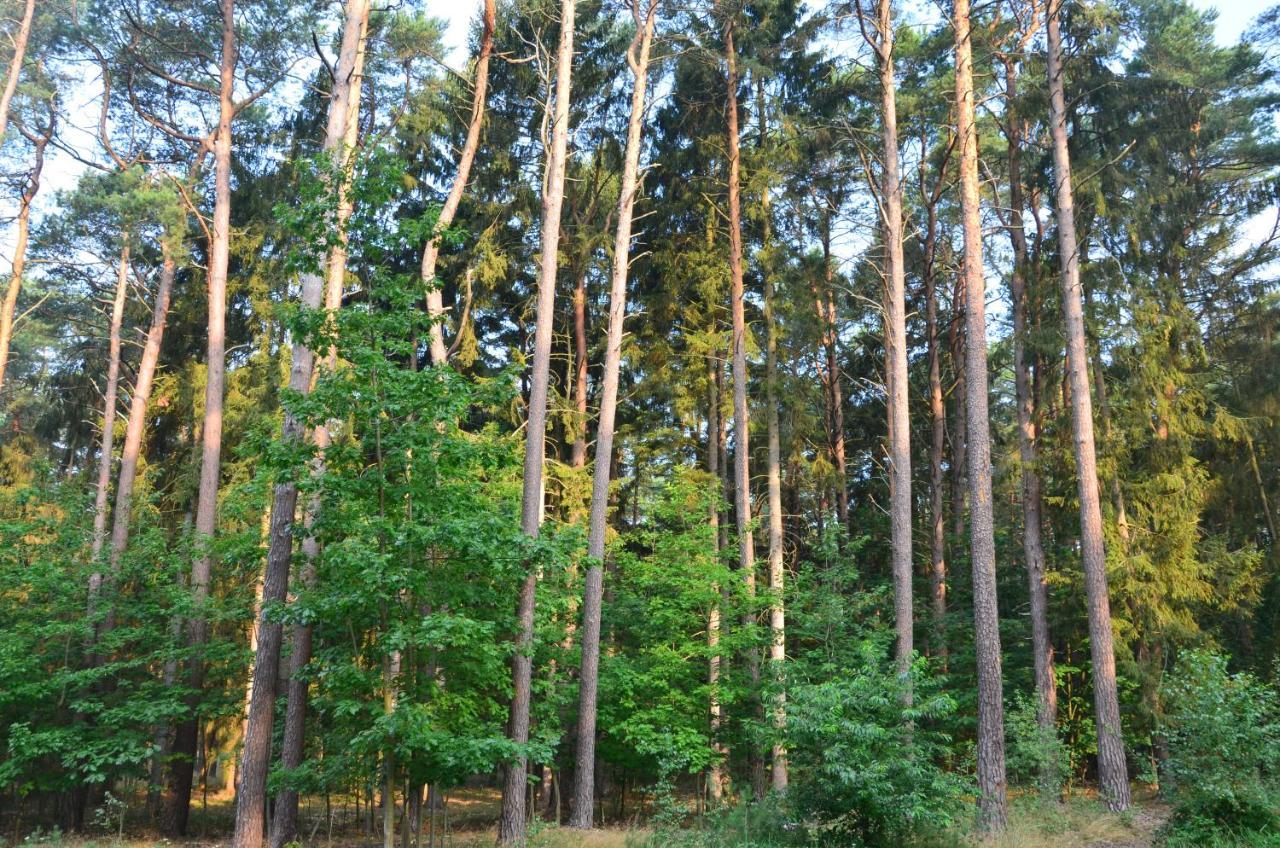 Apartament Blue Mare Pod Wiewiórką Łukęcin Exterior foto